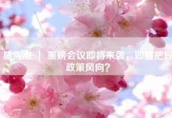 星焦点 ｜ 重磅会议即将来袭，如何把握政策风向？