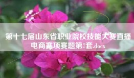 第十七届山东省职业院校技能大赛直播电商赛项赛题第7套.docx