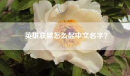 英雄联盟怎么起中文名字？