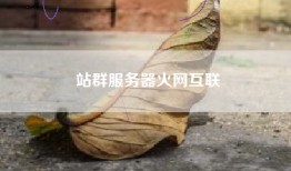 站群服务器火网互联