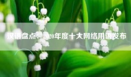 汉语盘点：2020年度十大网络用语发布