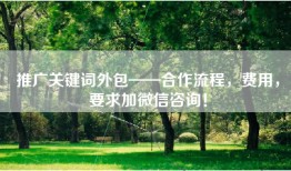 推广关键词外包——合作流程，费用，要求加微信咨询！