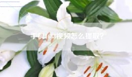手机1688视频怎么提取？