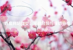 百度网站提交：实战经验与策略分享