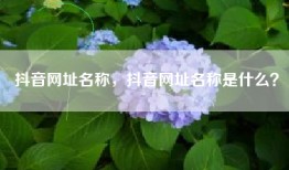 抖音网址名称，抖音网址名称是什么？