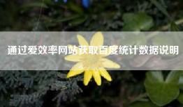 通过爱效率网站获取百度统计数据说明