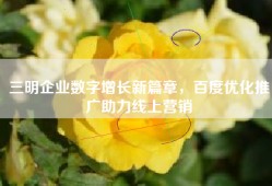 三明企业数字增长新篇章，百度优化推广助力线上营销