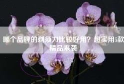 哪个品牌的剃须刀比较好用？超实用5款精品来袭