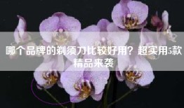 哪个品牌的剃须刀比较好用？超实用5款精品来袭