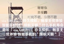 vivo Y300 Pro ：持久续航，畅享无忧体验 智能手机的＂续航灭霸＂什么手机寿命最长「vivo Y300 Pro ：持久续航，畅享无忧体验 智能手机的＂续航灭霸＂」
