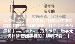 vivo Y300 Pro ：持久续航，畅享无忧体验 智能手机的＂续航灭霸＂什么手机寿命最长「vivo Y300 Pro ：持久续航，畅享无忧体验 智能手机的＂续航灭霸＂」