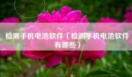 检测手机电池软件（检测手机电池软件有哪些）