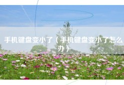 手机键盘变小了（手机键盘变小了怎么办）