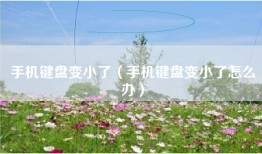 手机键盘变小了（手机键盘变小了怎么办）