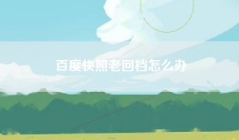百度快照老回档怎么办