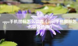 oppo手机图标怎么设置（oppo手机图标怎么设置还原）