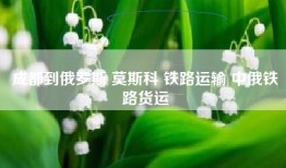 成都到俄罗斯 莫斯科 铁路运输 中俄铁路货运