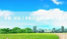手机  论坛（手机论坛排行榜前十名）