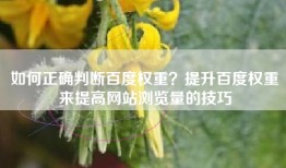 如何正确判断百度权重？提升百度权重来提高网站浏览量的技巧