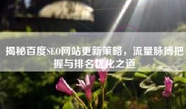 揭秘百度SEO网站更新策略，流量脉搏把握与排名优化之道