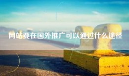 网站要在国外推广可以通过什么途径