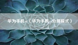 华为手机vr（华为手机vr分屏模式）