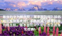 暴涨的华为概念股，基本面如何？知名游资现身龙虎榜！手机终端「暴涨的华为概念股，基本面如何？知名游资现身龙虎榜！」
