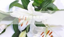 如何外贸外贸推广