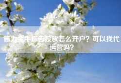磁力金牛广告投放怎么开户？可以找代运营吗？