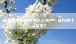 磁力金牛广告投放怎么开户？可以找代运营吗？