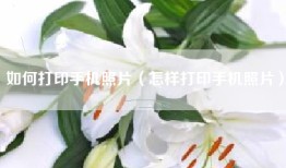 如何打印手机照片（怎样打印手机照片）