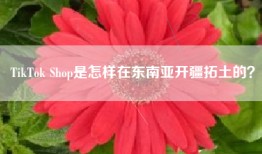 TikTok Shop是怎样在东南亚开疆拓土的？