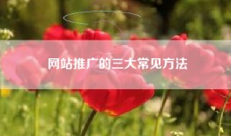 网站推广的三大常见方法