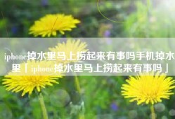 iphone掉水里马上捞起来有事吗手机掉水里「iphone掉水里马上捞起来有事吗」