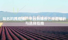 知名的网络推广平台有哪些？全面解析与选择指南