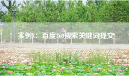 实例3：百度360搜索关键词提交