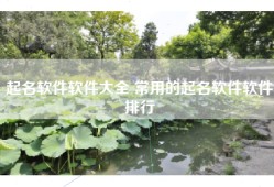 起名软件软件大全 常用的起名软件软件排行
