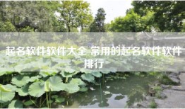 起名软件软件大全 常用的起名软件软件排行