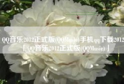 QQ音乐2012正式版(QQMusic)手机qq下载2012「QQ音乐2012正式版(QQMusic)」