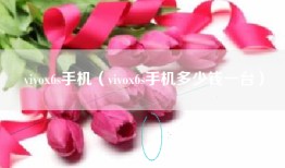 vivox6s手机（vivox6s手机多少钱一台）
