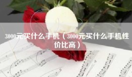 3000元买什么手机（3000元买什么手机性价比高）