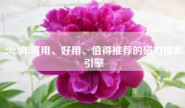 2023年可用、好用、值得推荐的磁力搜索引擎