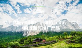 网上商城如何推广，策略与实践，网上商城如何推广产品