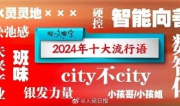 2024年度十大流行语揭晓，city不city意外上榜引热议！