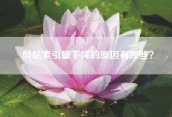 网站索引量下降的原因有哪些？