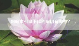 网站索引量下降的原因有哪些？