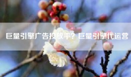 巨量引擎广告投放平？巨量引擎代运营