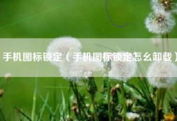 手机图标锁定（手机图标锁定怎幺卸载）