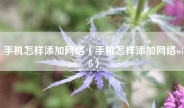 手机怎样添加网络（手机怎样添加网络wifi）
