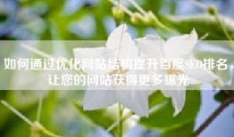 如何通过优化网站结构提升百度SEO排名，让您的网站获得更多曝光